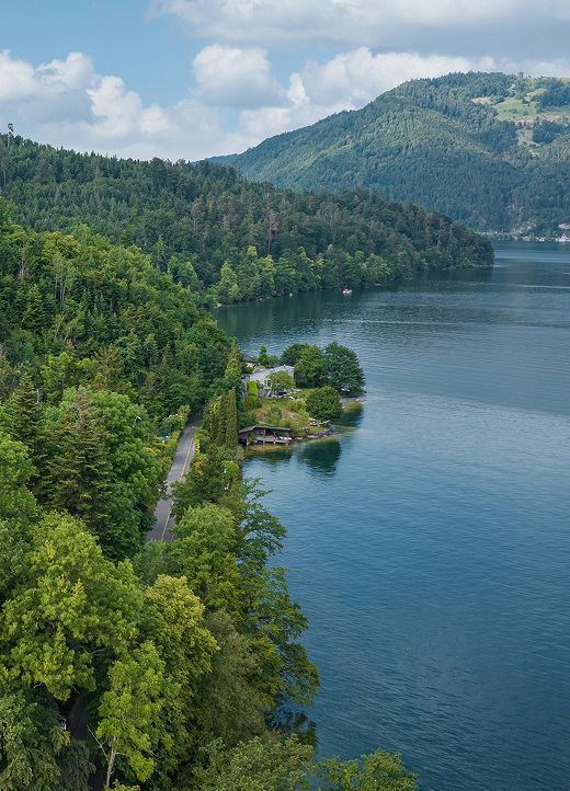 Bewaldetes Grundstück am Seeufer